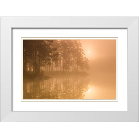 Sun A Mist White Modern Wood Framed Art Print with Double Matting by Christensen, Andreas