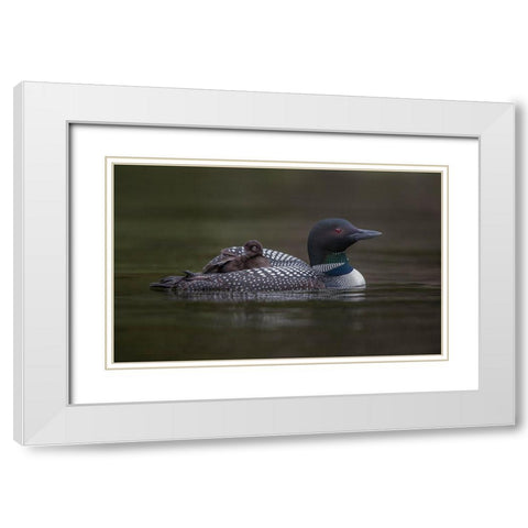 Along For The Ride White Modern Wood Framed Art Print with Double Matting by Barsh, Greg