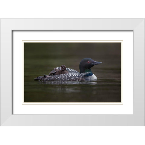 Along For The Ride White Modern Wood Framed Art Print with Double Matting by Barsh, Greg