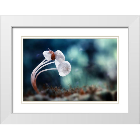 Snail And Mushrooms White Modern Wood Framed Art Print with Double Matting by Almustaqim, Dede