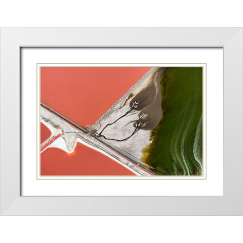 Natures Painting White Modern Wood Framed Art Print with Double Matting by Macua, Gerald