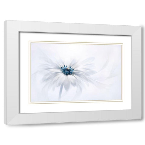 Serenity White Modern Wood Framed Art Print with Double Matting by Parker, Jacky