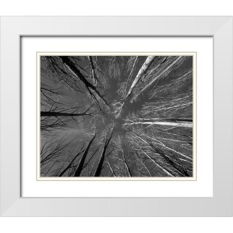 Ponto De Fuga White Modern Wood Framed Art Print with Double Matting by Sousa Dias, Nana