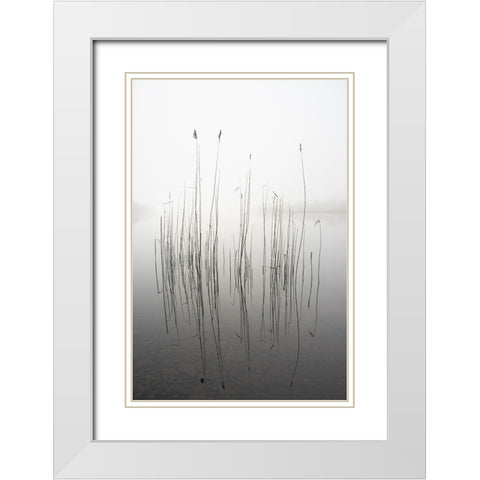 Silence White Modern Wood Framed Art Print with Double Matting by Ahern, David