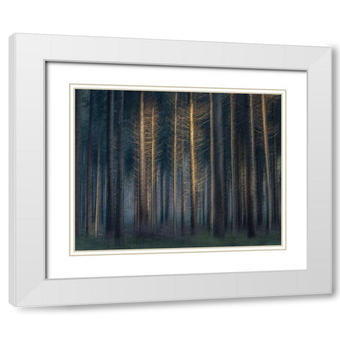 In The Afternoon White Modern Wood Framed Art Print with Double Matting by Talen, Nel