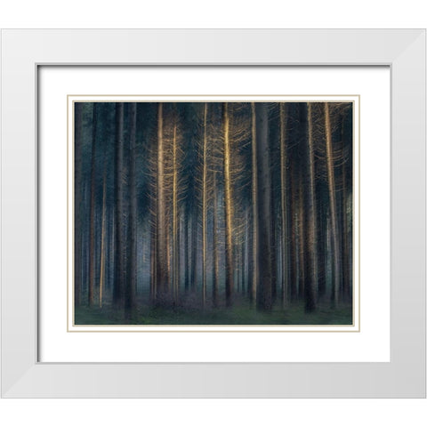In The Afternoon White Modern Wood Framed Art Print with Double Matting by Talen, Nel