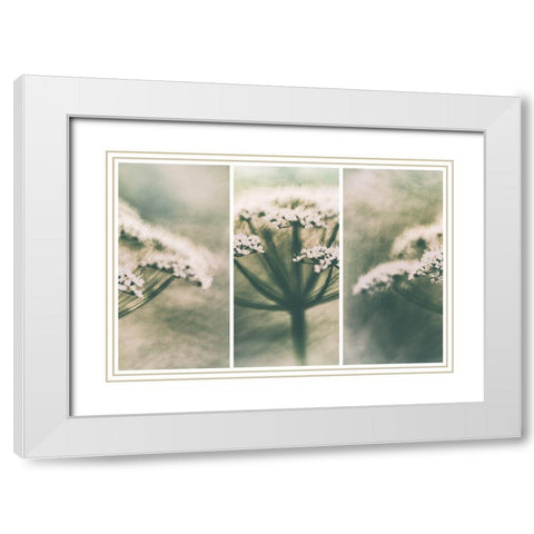 Memories White Modern Wood Framed Art Print with Double Matting by Davidsson, Gustav