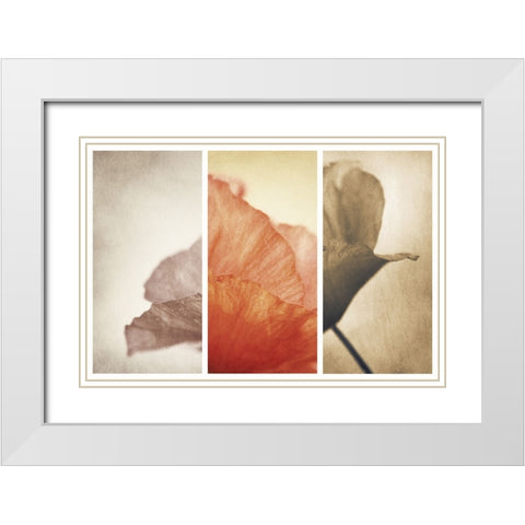 Fading Memories White Modern Wood Framed Art Print with Double Matting by Davidsson, Gustav