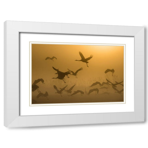Sunrise With Cranes White Modern Wood Framed Art Print with Double Matting by Rosenblatt, Ronen