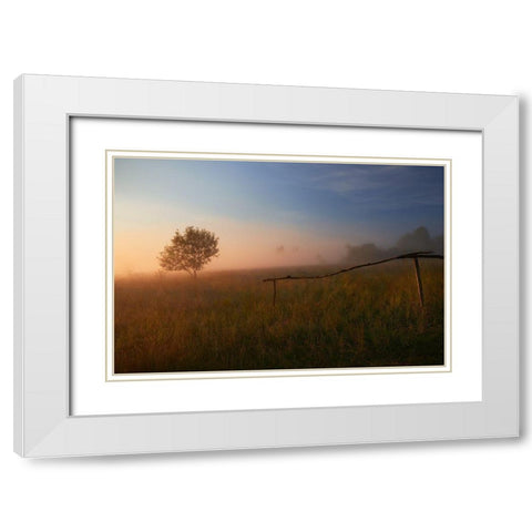 The Summer Field White Modern Wood Framed Art Print with Double Matting by Mierzejewski, Krzysztof