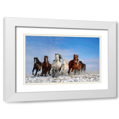 Mongolia Horses White Modern Wood Framed Art Print with Double Matting by Zhang, Libby