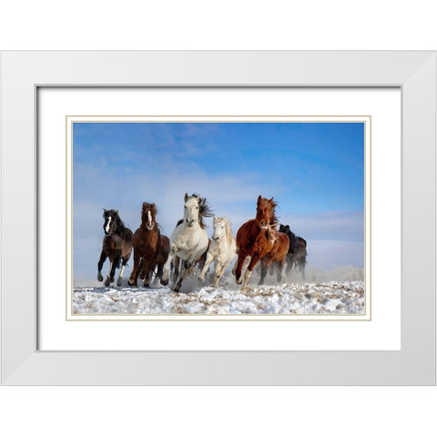 Mongolia Horses White Modern Wood Framed Art Print with Double Matting by Zhang, Libby