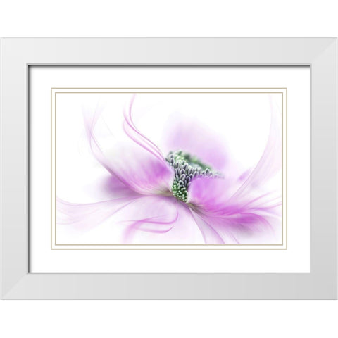 Flow White Modern Wood Framed Art Print with Double Matting by Parker, Jacky