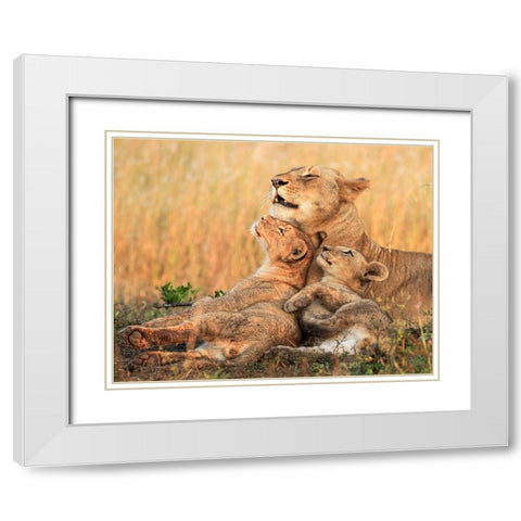 Mothers Love White Modern Wood Framed Art Print with Double Matting by Marx, Jaco