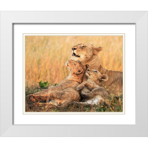 Mothers Love White Modern Wood Framed Art Print with Double Matting by Marx, Jaco