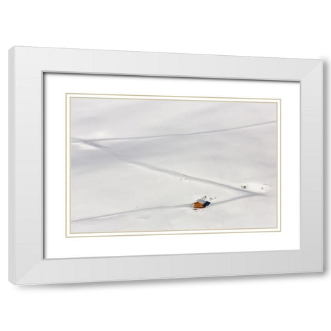 Lost In The Snow White Modern Wood Framed Art Print with Double Matting by Hermann, Uschi