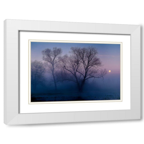 Another New Day White Modern Wood Framed Art Print with Double Matting by Agazzi, Andreas