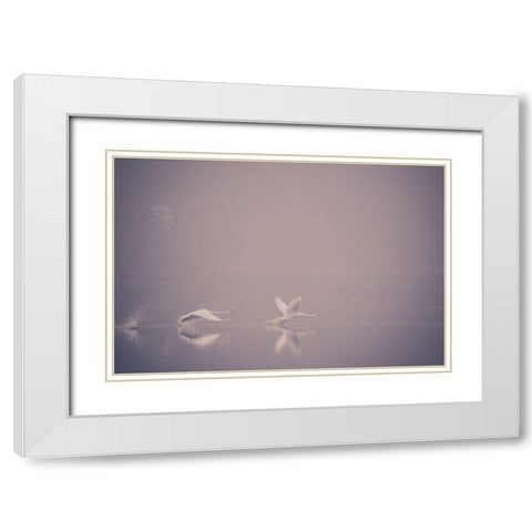 Foggy Takeoff White Modern Wood Framed Art Print with Double Matting by Dalheim, Jonas