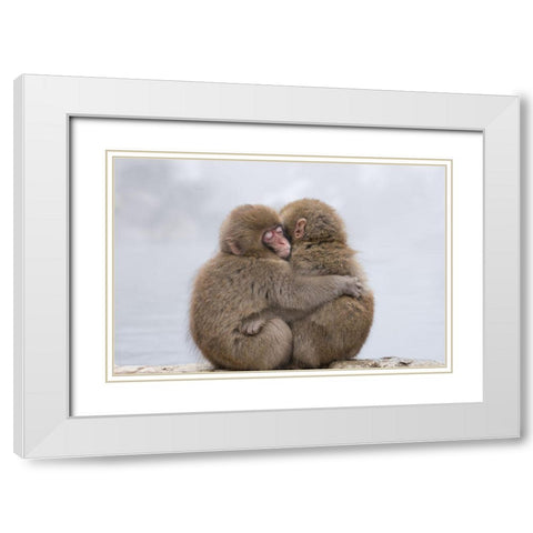 Forever Friends White Modern Wood Framed Art Print with Double Matting by Marumoto, Takeshi