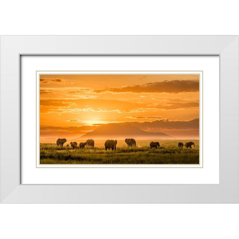 Golden Africa White Modern Wood Framed Art Print with Double Matting by J. Chen, John