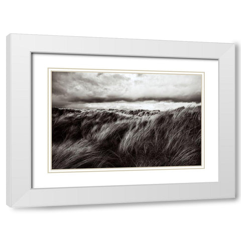 Dunes Of Grass White Modern Wood Framed Art Print with Double Matting by Paul