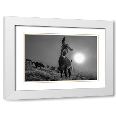 Friend White Modern Wood Framed Art Print with Double Matting by Traverso, Alessandro