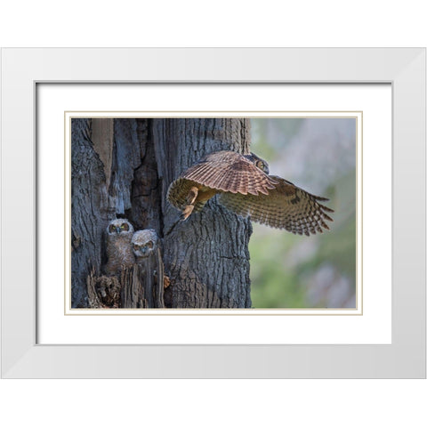 My Babies Are Hangry White Modern Wood Framed Art Print with Double Matting by Feng, Young