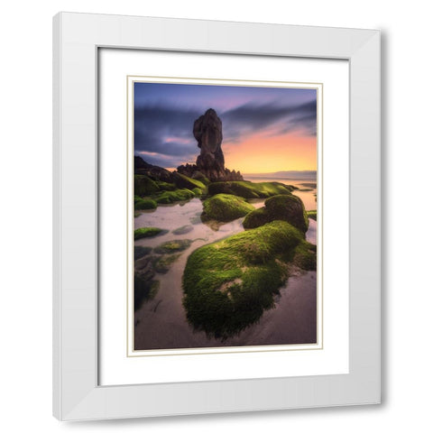 Lumeboo White Modern Wood Framed Art Print with Double Matting by F. Turienzo, Carlos