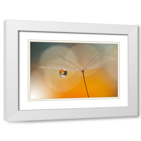 Little Night Music... White Modern Wood Framed Art Print with Double Matting by Nan, Juliana