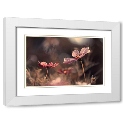 Flowers Of Innocence White Modern Wood Framed Art Print with Double Matting by Bravin, Fabien