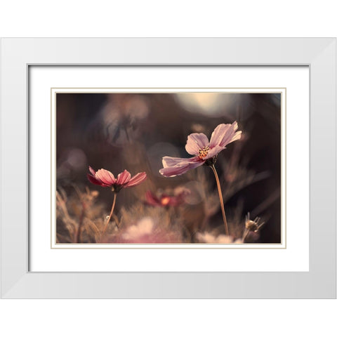 Flowers Of Innocence White Modern Wood Framed Art Print with Double Matting by Bravin, Fabien