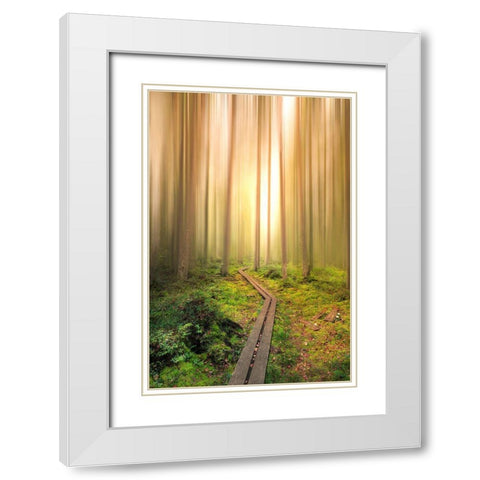 Into The Light White Modern Wood Framed Art Print with Double Matting by Lindsten, Christian