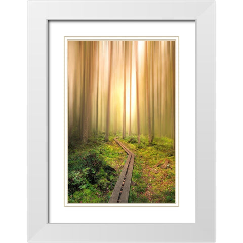 Into The Light White Modern Wood Framed Art Print with Double Matting by Lindsten, Christian