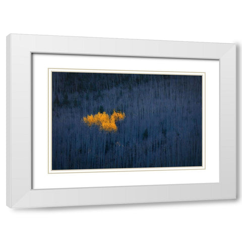 Heart Of Aspens White Modern Wood Framed Art Print with Double Matting by Zheng, Michael