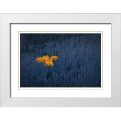 Heart Of Aspens White Modern Wood Framed Art Print with Double Matting by Zheng, Michael