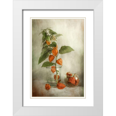 Lanterns White Modern Wood Framed Art Print with Double Matting by Disher, Mandy