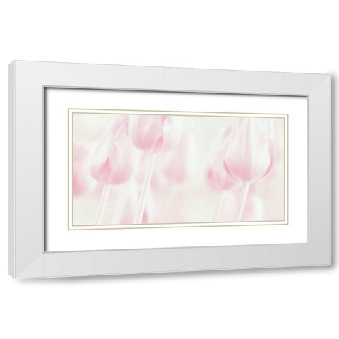 Softness White Modern Wood Framed Art Print with Double Matting by Devos, Delphine