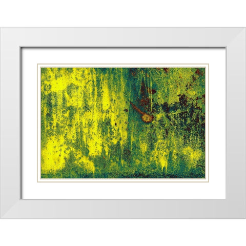 Multi-Dimension Nature (Natural Outside Image) White Modern Wood Framed Art Print with Double Matting by Chengzhou, Zhou