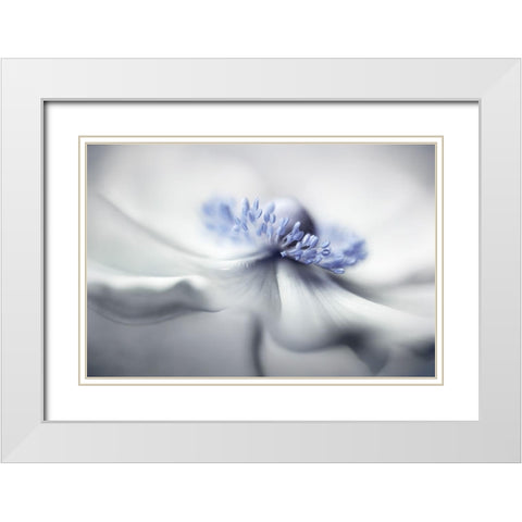 Anemone Spirit White Modern Wood Framed Art Print with Double Matting by Disher, Mandy
