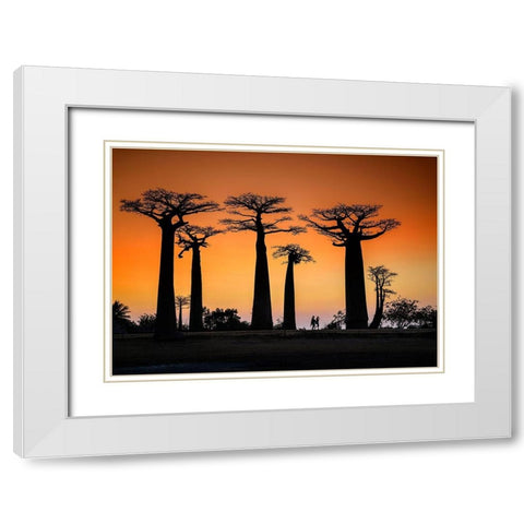 Sunset In Morondava White Modern Wood Framed Art Print with Double Matting by Ren Rong, Raymond