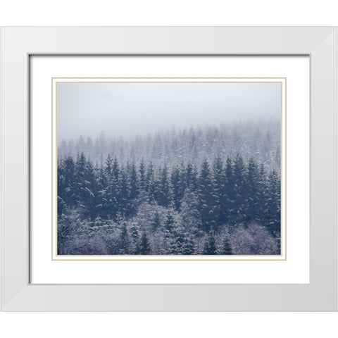 Frozen Trees White Modern Wood Framed Art Print with Double Matting by Christensen, Andreas