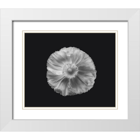 Poppy In Mono White Modern Wood Framed Art Print with Double Matting by Gronkjar, Lotte