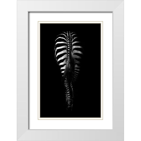 Untitled White Modern Wood Framed Art Print with Double Matting by Grambone, Antonio