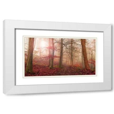 Forest Scene. White Modern Wood Framed Art Print with Double Matting by Londal, Leif