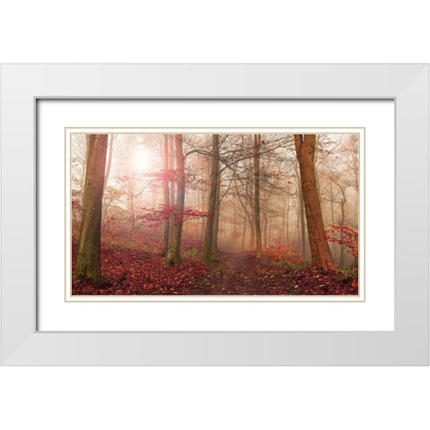 Forest Scene. White Modern Wood Framed Art Print with Double Matting by Londal, Leif