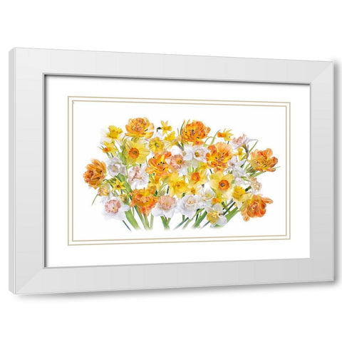 Spirited White Modern Wood Framed Art Print with Double Matting by Parker, Jacky