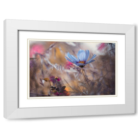 Things That Flowers Tell White Modern Wood Framed Art Print with Double Matting by Bravin, Fabien