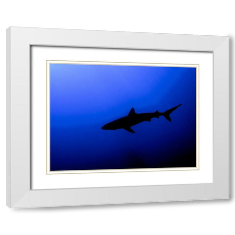 Silhouette White Modern Wood Framed Art Print with Double Matting by Ben Tov, Ilan