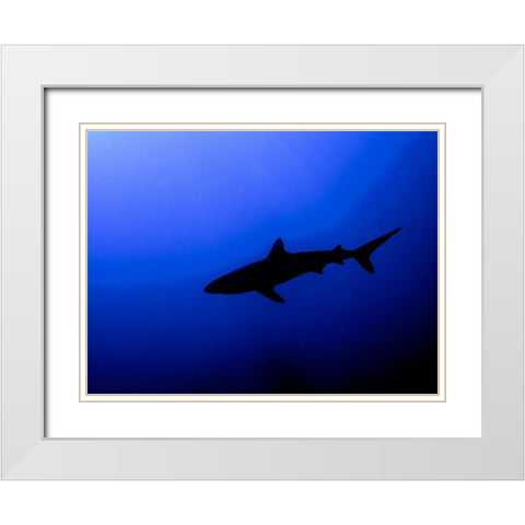 Silhouette White Modern Wood Framed Art Print with Double Matting by Ben Tov, Ilan