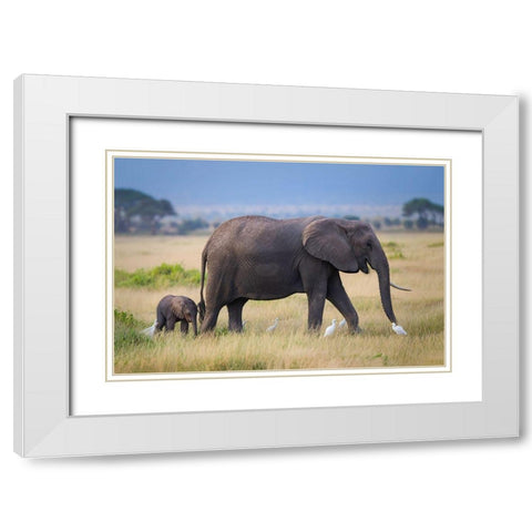 Life White Modern Wood Framed Art Print with Double Matting by Feng, Young